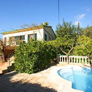 Ideal Soller