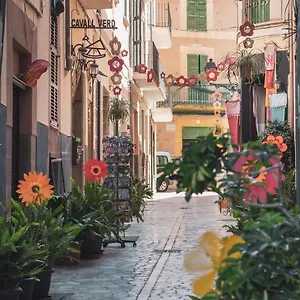 Ca's Cuscanti Soller
